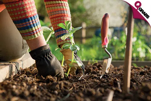 For QR59 Make Flowery Creations with a Diploma in Garden Design Online Course! (QR908 Value)
